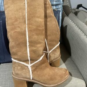Ugg boots with heel.  Brand new, never used